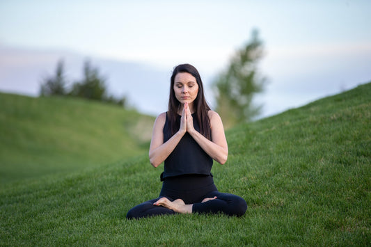 5 herbs for combatting stress
