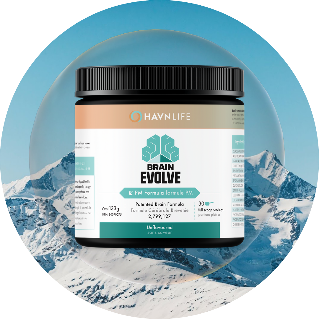 BRAIN EVOLVE PM