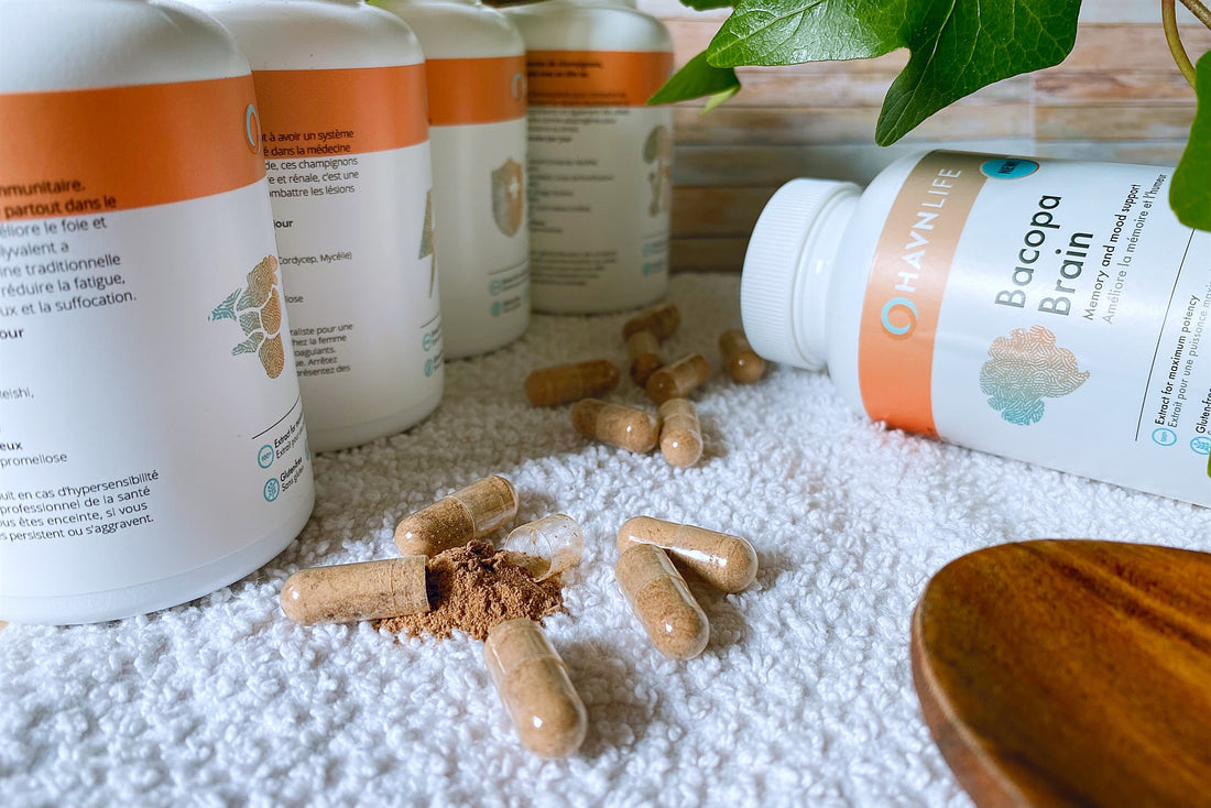 Bacopa Brain by HavnLife