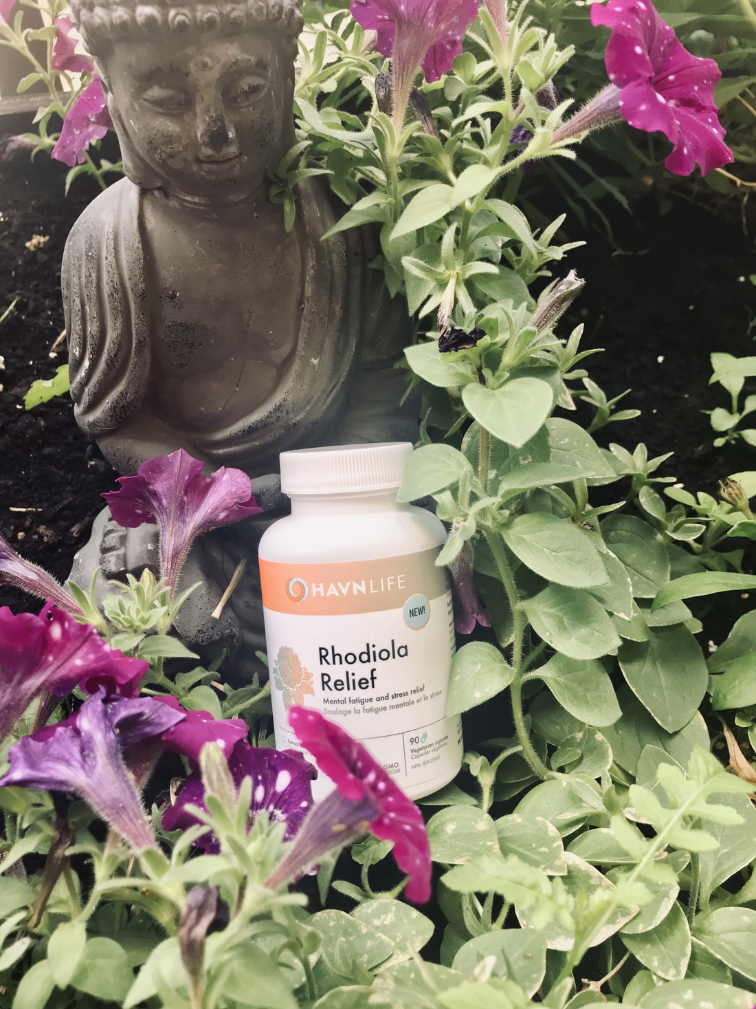 Don't head in to a mental burnout, fight it with Rhodiola (Havnlife Rhodiola Relief)