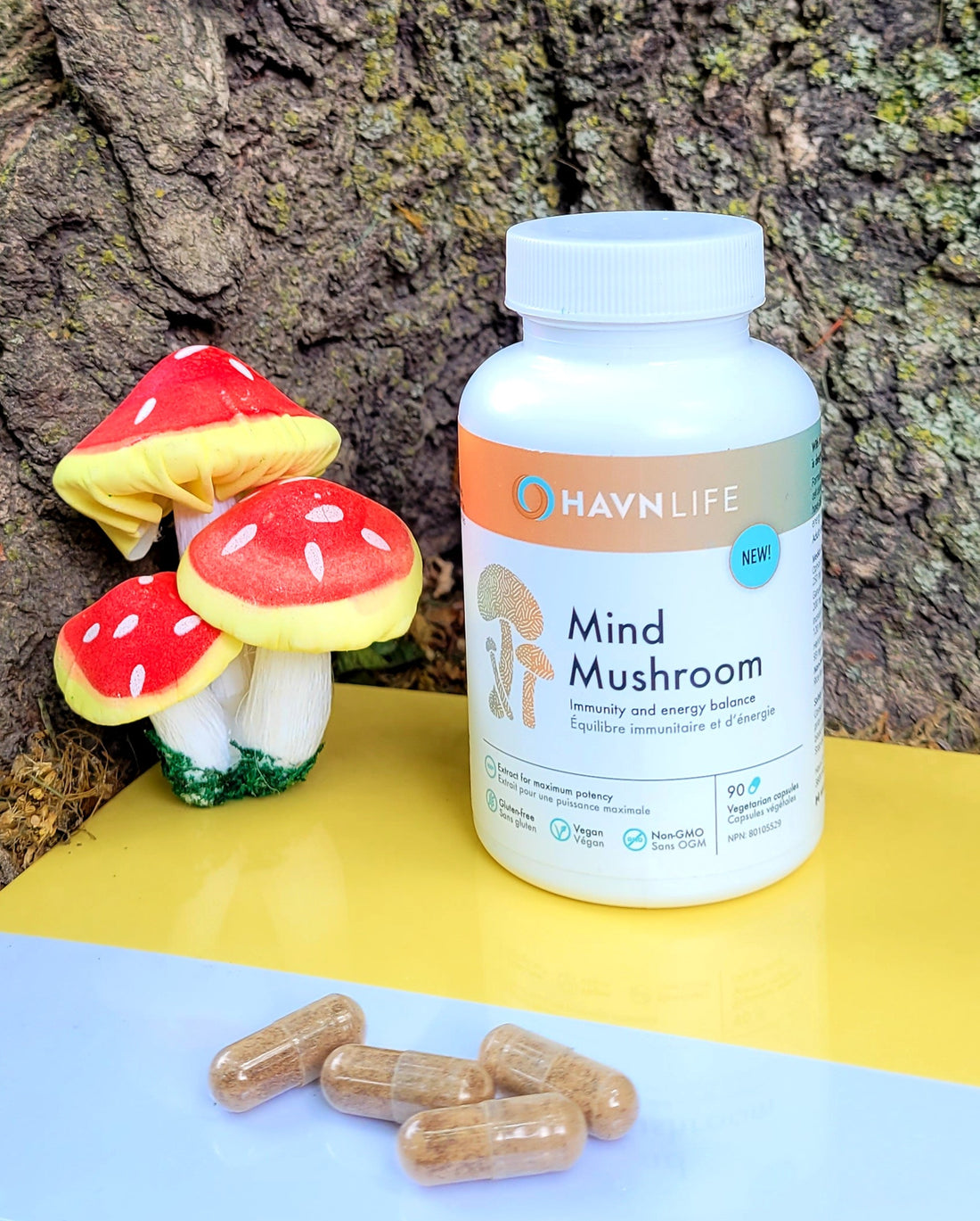 Mind Mushroom: Plant Medicine for Immunity & Energy